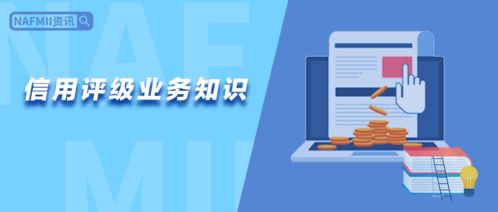 厚植專業根基，賦能信用未來——NAFMII教育信用評級業務知識培訓班第8期培訓紀實