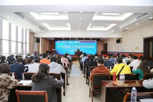 凝心聚智提效能，蓄勢賦能謀新篇——公司召開經營工作業務培訓會